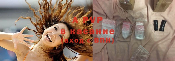 прущие грибы Аркадак