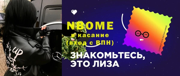 прущие грибы Аркадак