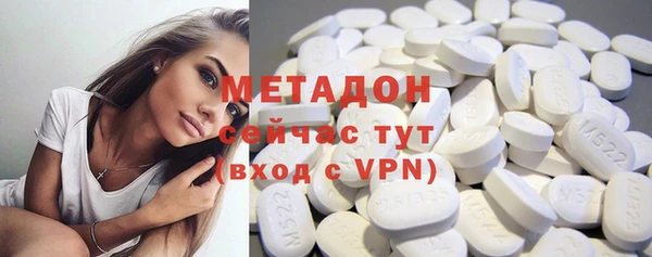 прущие грибы Аркадак