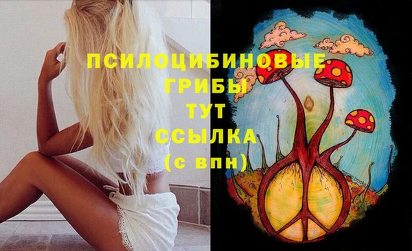 прущие крисы Армянск