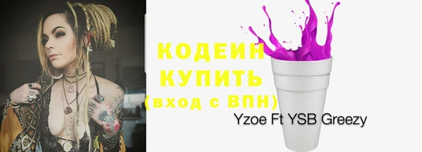 прущие грибы Аркадак