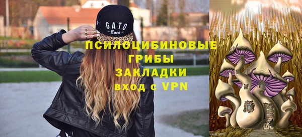 прущие крисы Армянск