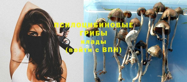 прущие крисы Армянск